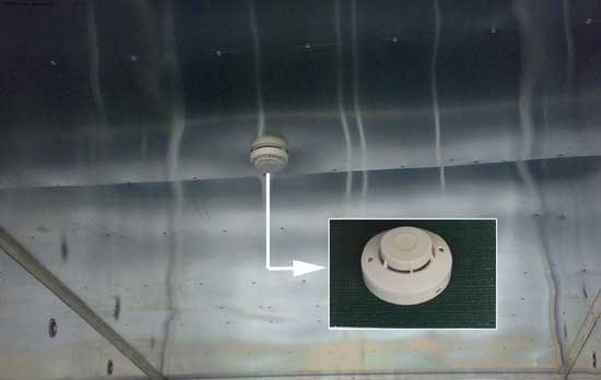 ���Ӹ��̻���̽����