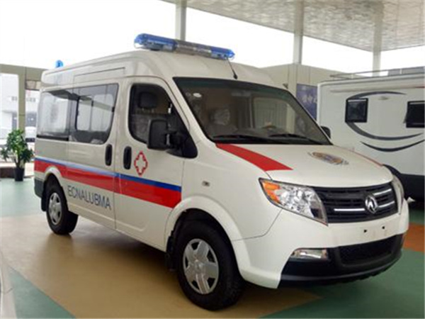 �����������Ȼ���